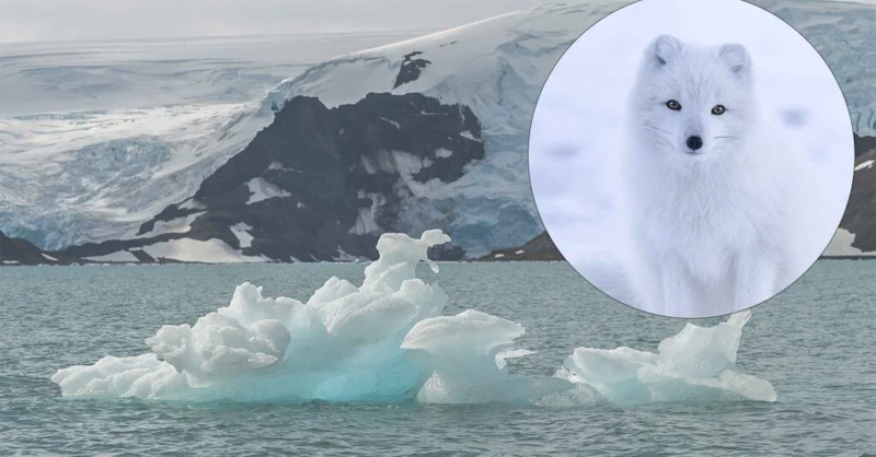 Des pêcheurs s’approchent d’un iceberg pour sauver un animal échoué — Mais ce qu’ils découvrent est bien plus terrifiant